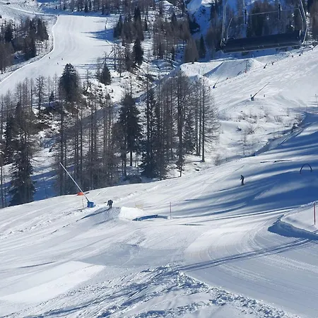 Francoa Nassfeld * Sonnenalpe Nassfeld