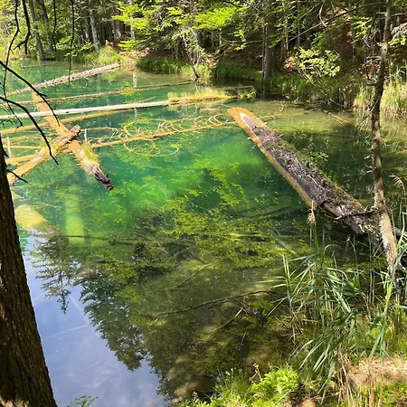 Francoa Nassfeld דירה זוננאלפה נאספלד