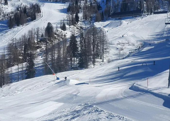 Francoa Nassfeld * Sonnenalpe Nassfeld