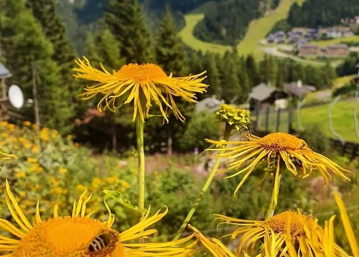 Francoa Nassfeld Daire