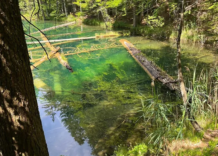 Francoa Nassfeld Apartament Sonnenalpe Nassfeld